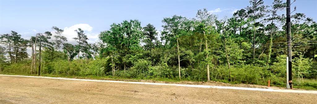 TBD Fm 2100 Rd - Photo 1