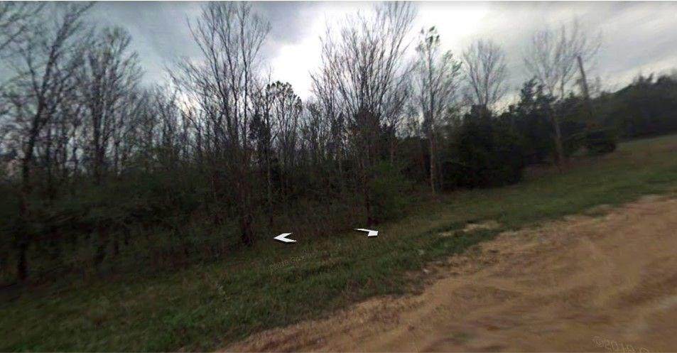 Lot 56 River Terrace Drive - Photo 1