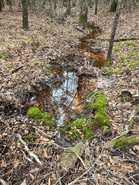 TBD Off Of County Road 2580 - Photo 1