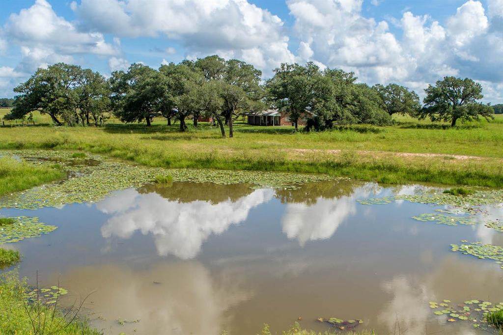 16212 Fm 682 - Photo 1
