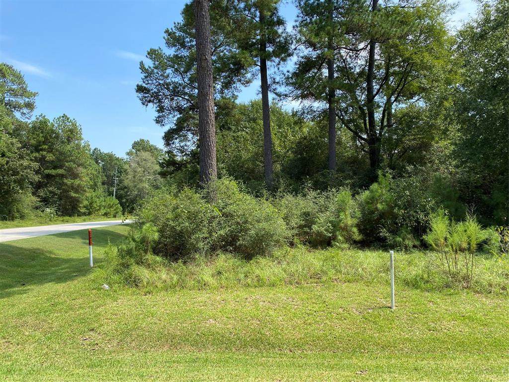 25203 Tara Plantation Drive - Photo 1