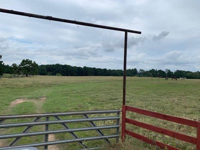 6113 County Road 344 - Photo 1