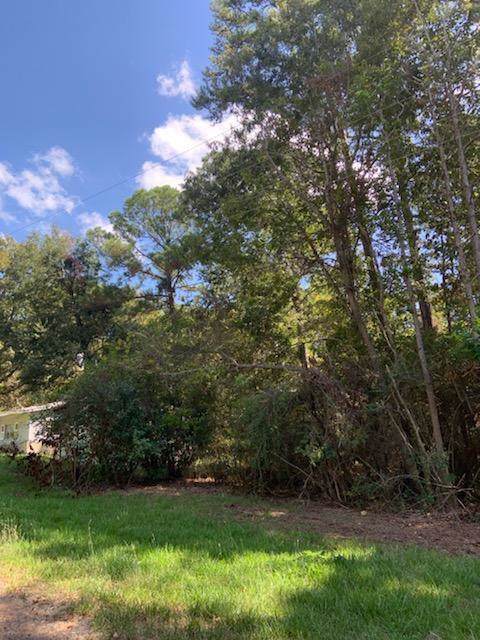 0 Rain Forest Road - Photo 1