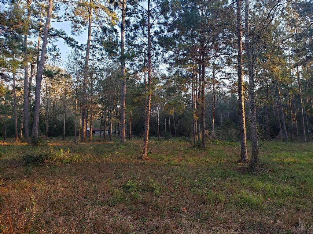 1591 County Road 2293 - Photo 1