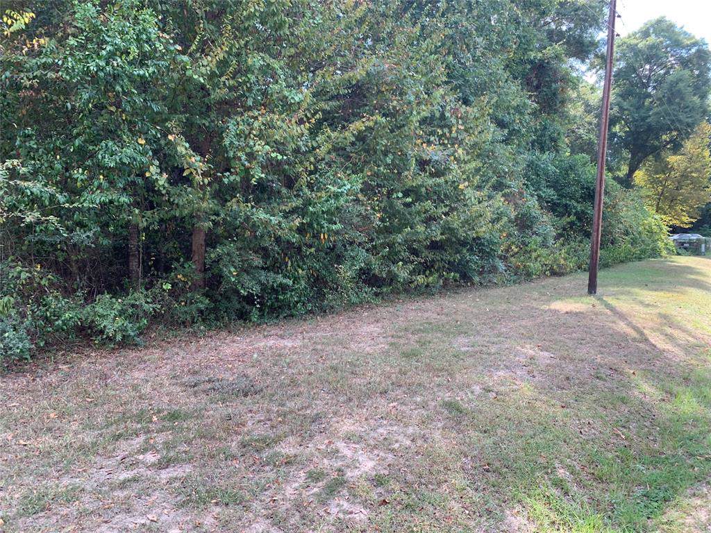 TBD Devereaux Lot 139 - 146 Trail - Photo 1