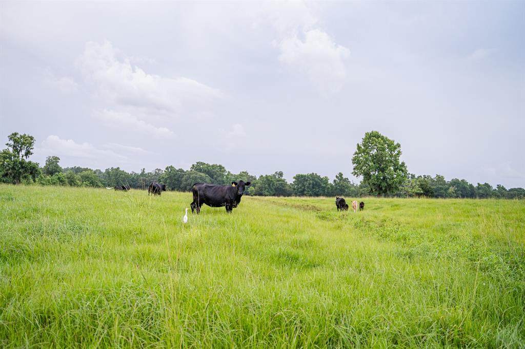 TBD 00 CR 2094 - Photo 1