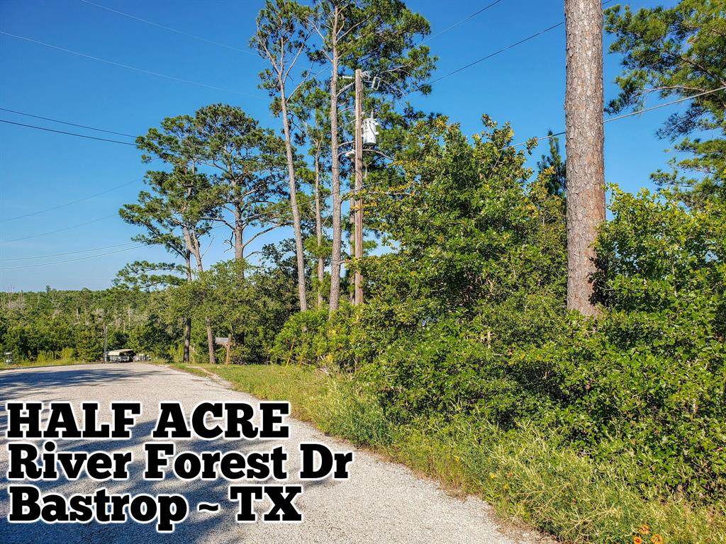 Lot 69 River Forest Drive - Photo 1