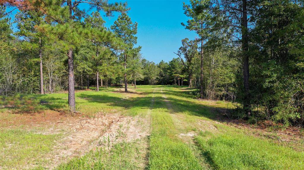 790 Fm 230 - Photo 1