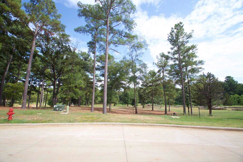 22258 Mallards Cove Ct - Photo 1