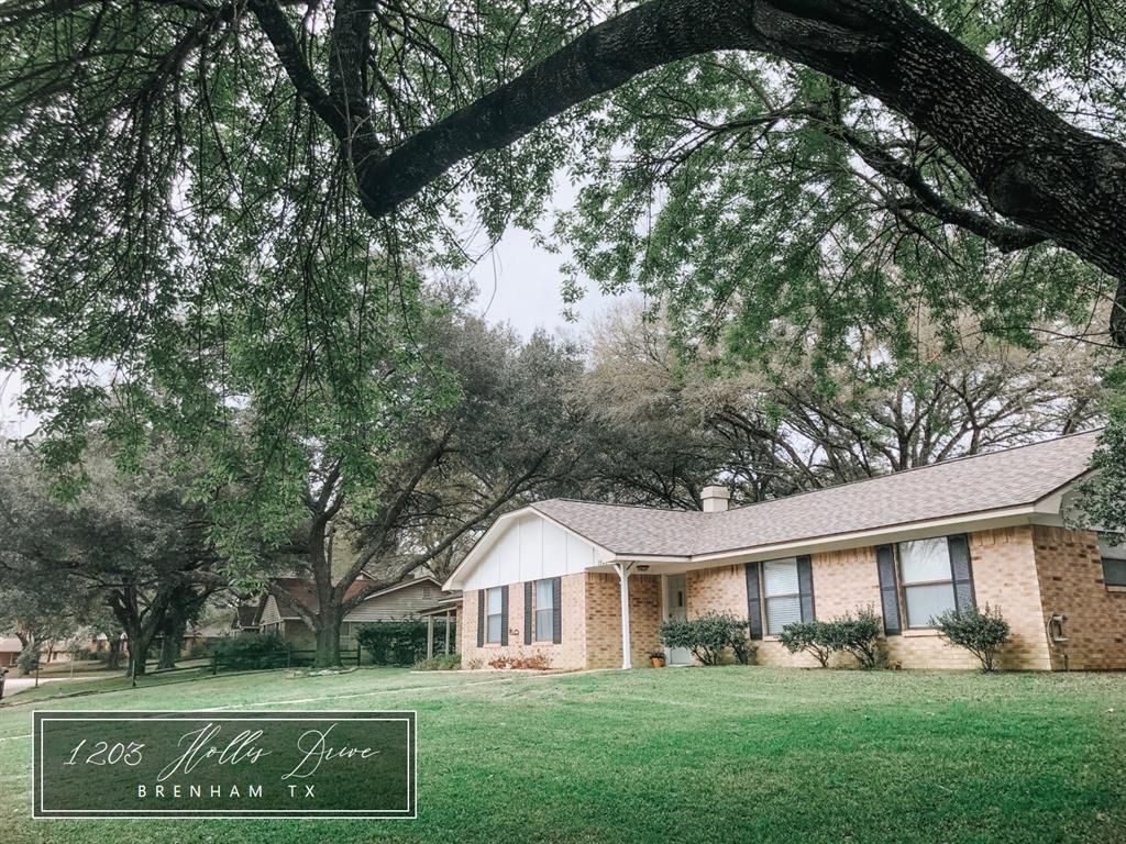 1203 Hollis Drive Drive - Photo 1