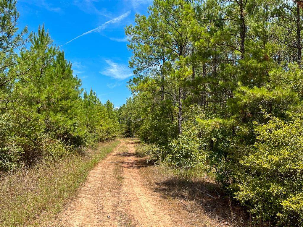 0 Lost Indian Camp Road - Photo 1