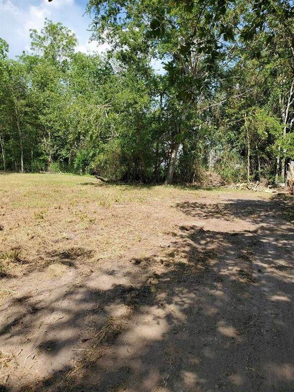 510 Davitt Street - Photo 1