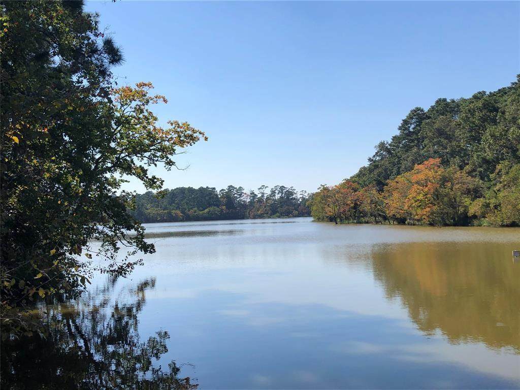 0000 Lakelane Road - Photo 1