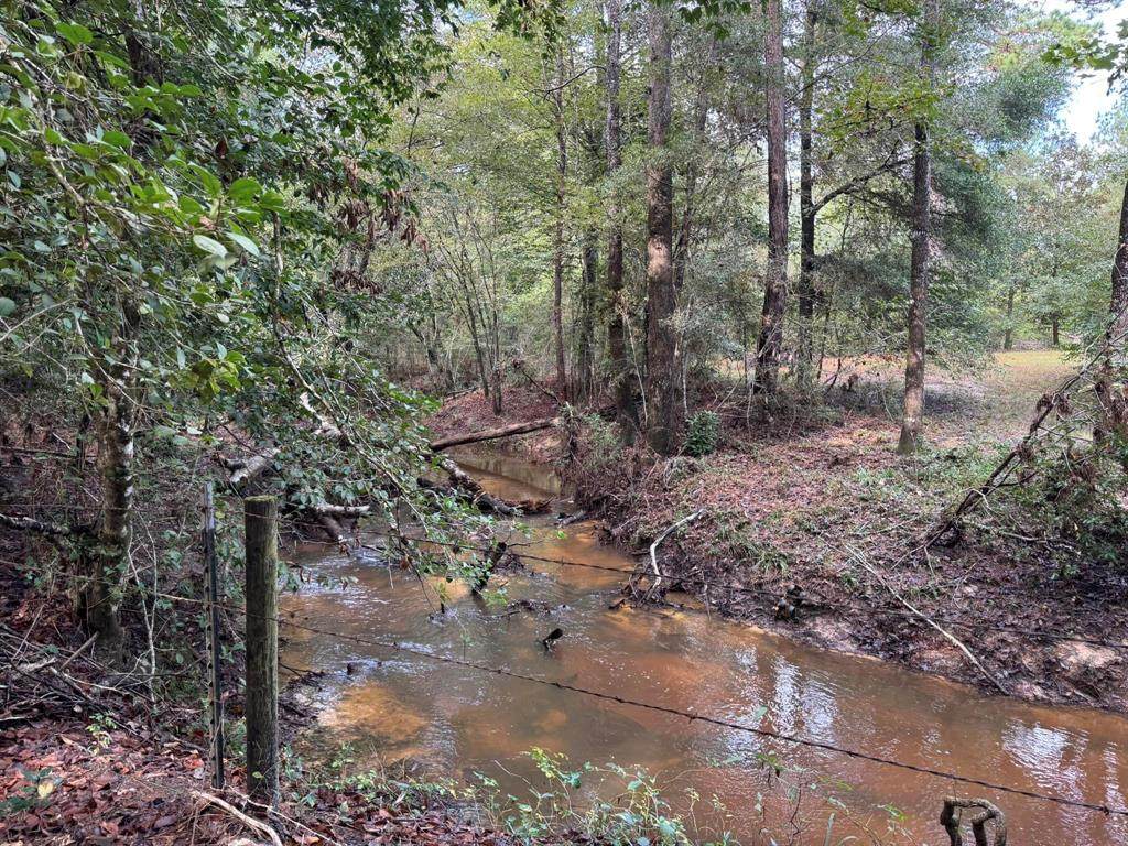 TBD County Road 4392 - Photo 1
