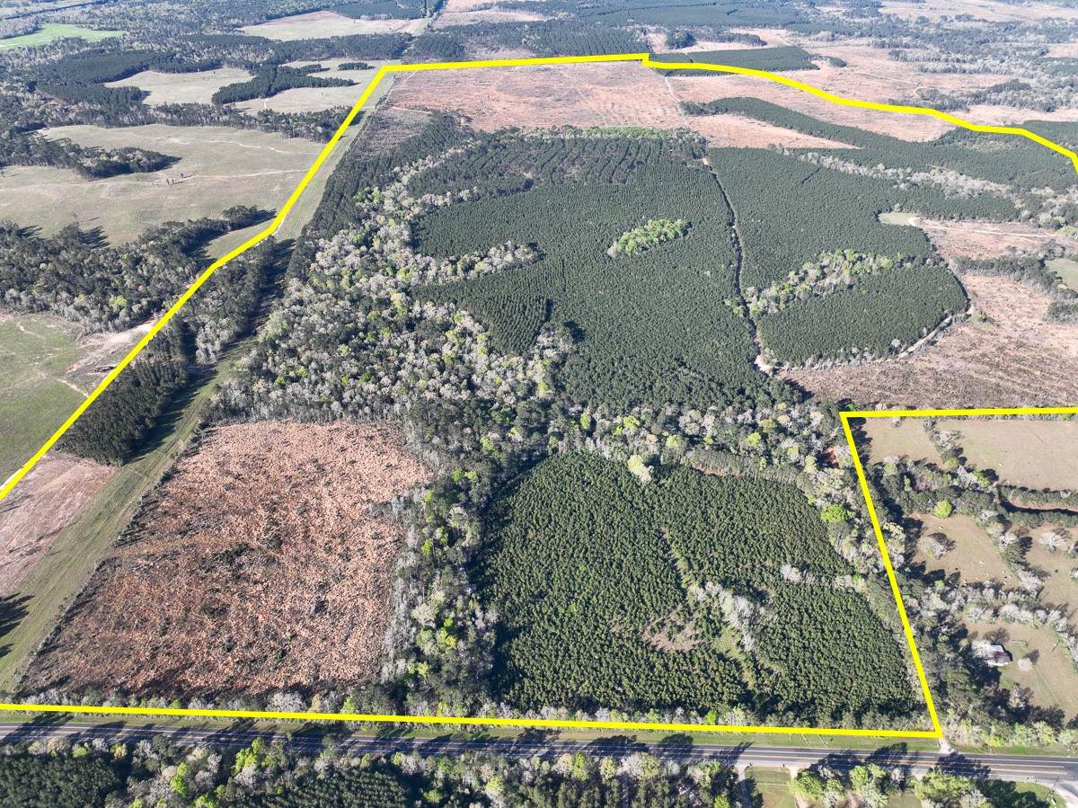 1 Granbury Rd - Photo 1