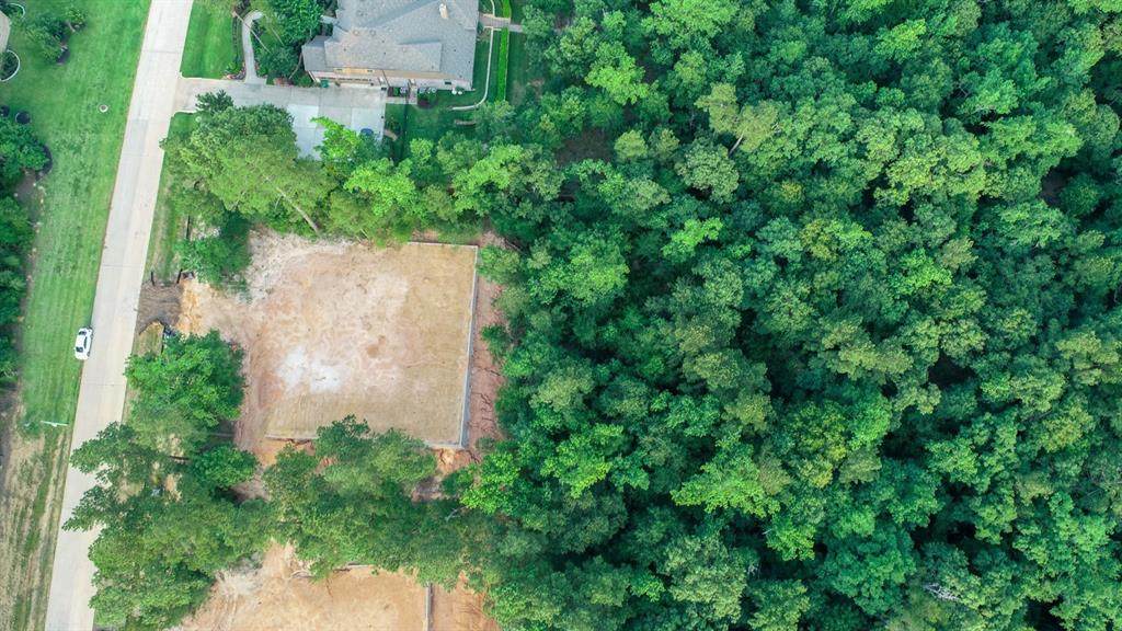 11021 Shadow View Drive - Photo 1