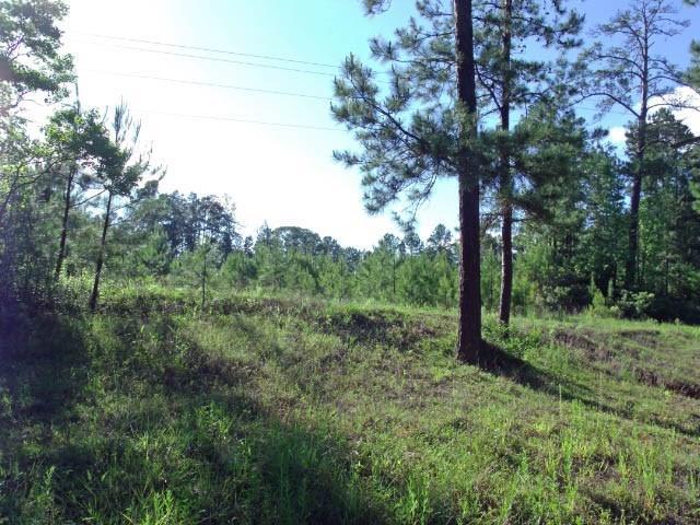 00 County Road 200 - Photo 1