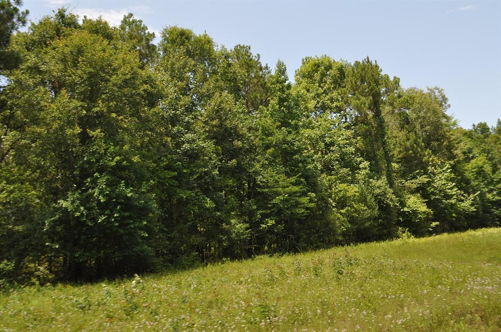 0 Wilderness Road - Photo 1