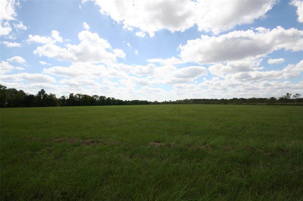 000 Huffman Eastgate Road - Photo 1