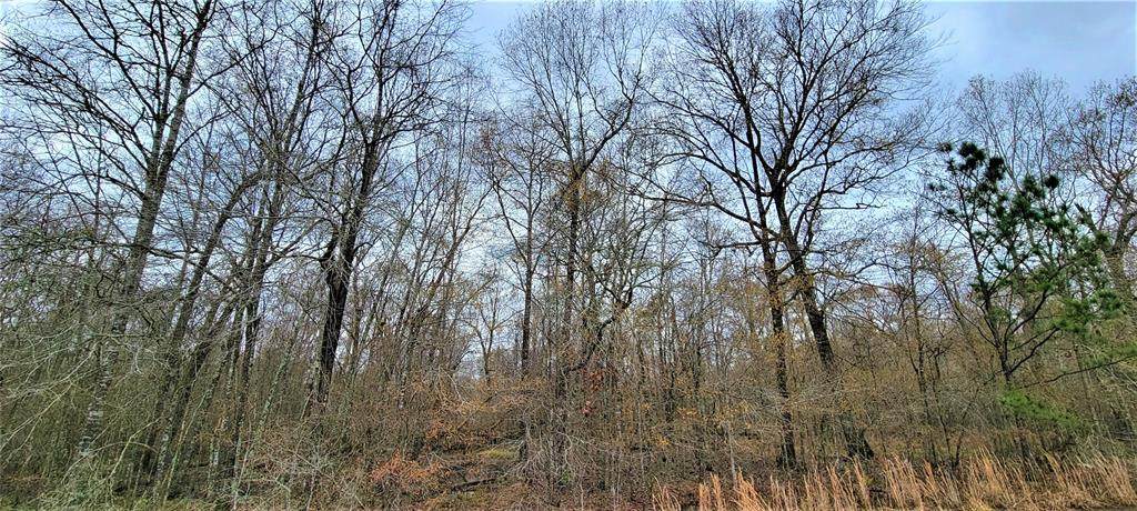 1679 County Road 2145 - Photo 1