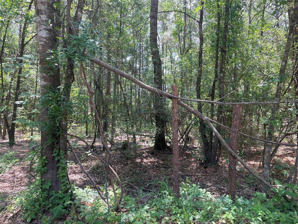00 Mill Creek Drive - Photo 1