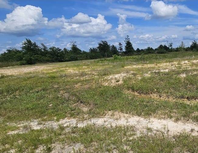 10121 Road 5839 - Photo 1