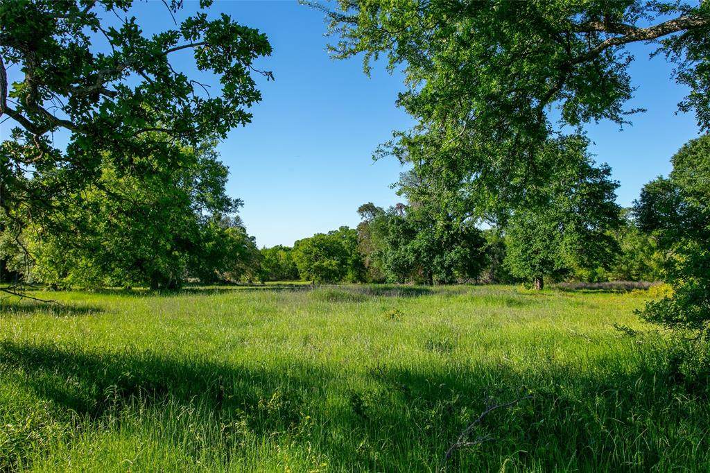 Lot 1 Brazos Court - Photo 1