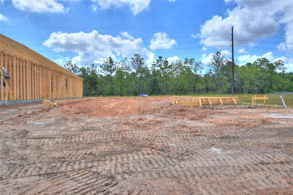 12710 Birsemore Loch Drive - Photo 1