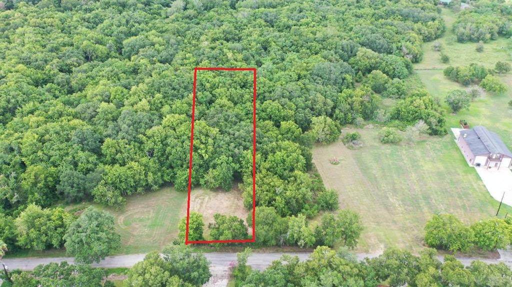 0 PR 652 Live Oak Bend - Photo 1