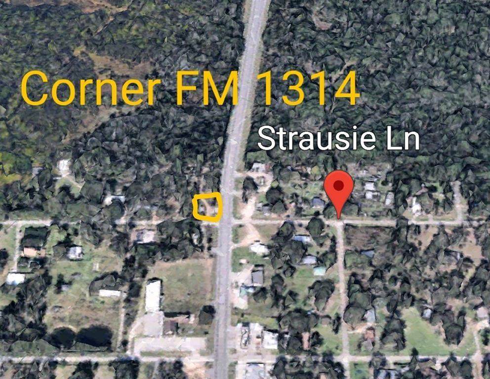 0 Fm 1314 Road - Photo 1