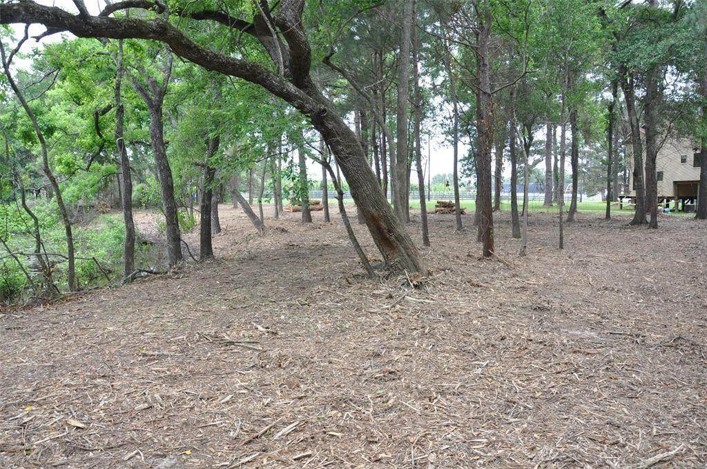 33319 Lago Vista Real - Photo 1