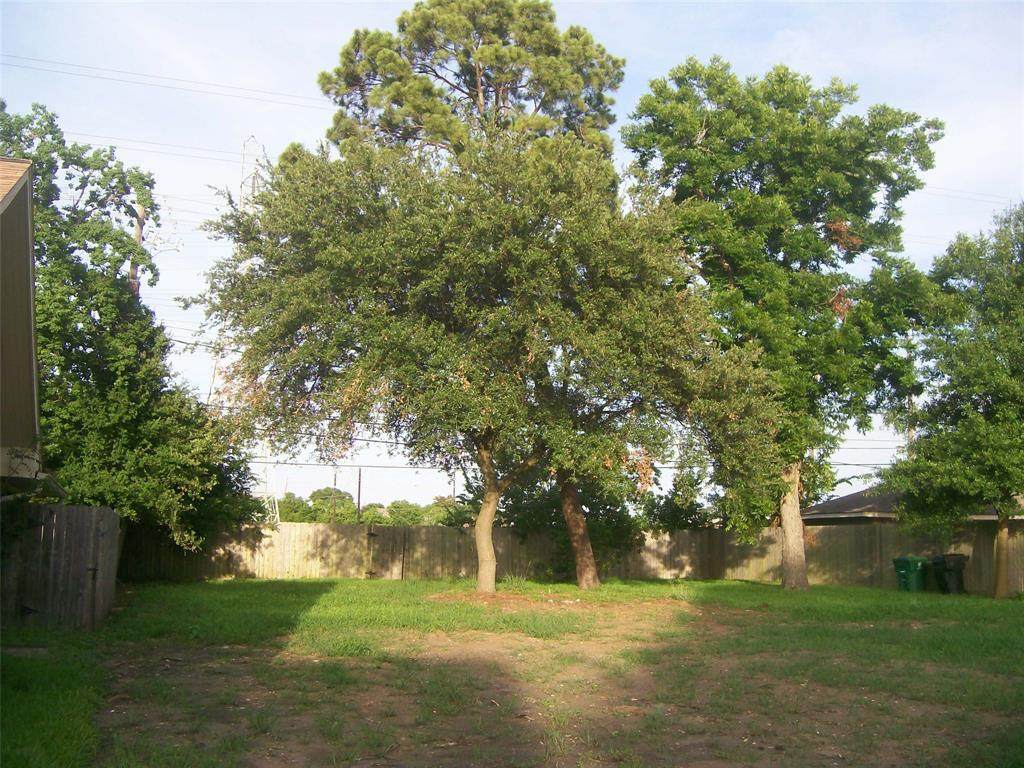 9403 Greenwillow Street - Photo 1