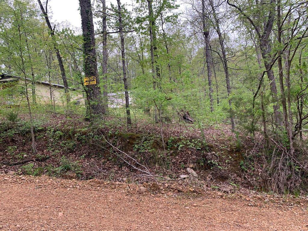 Lot 33 Lakeside Trail - Photo 1