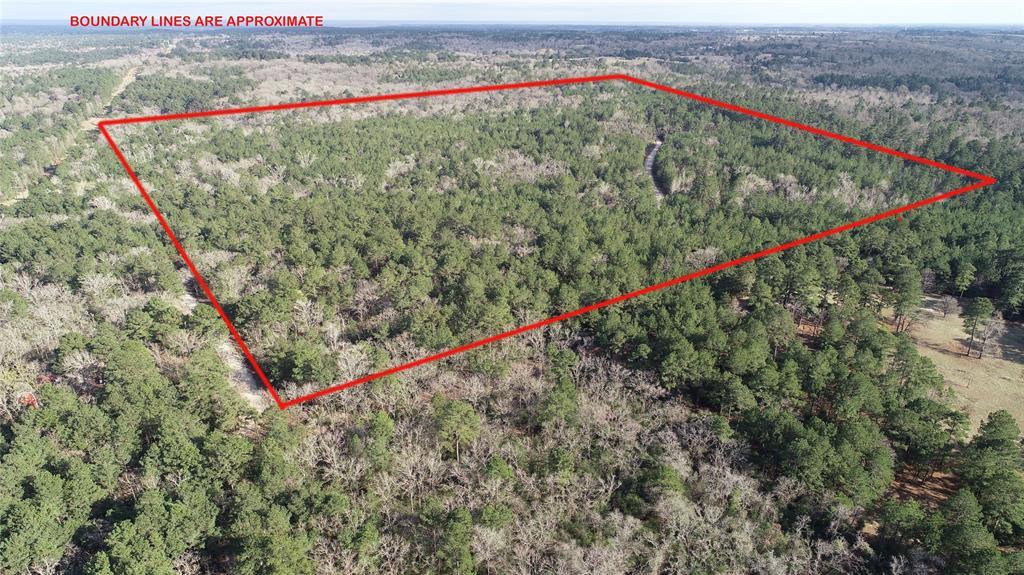 103.943 Acres Cr 227 - Photo 1