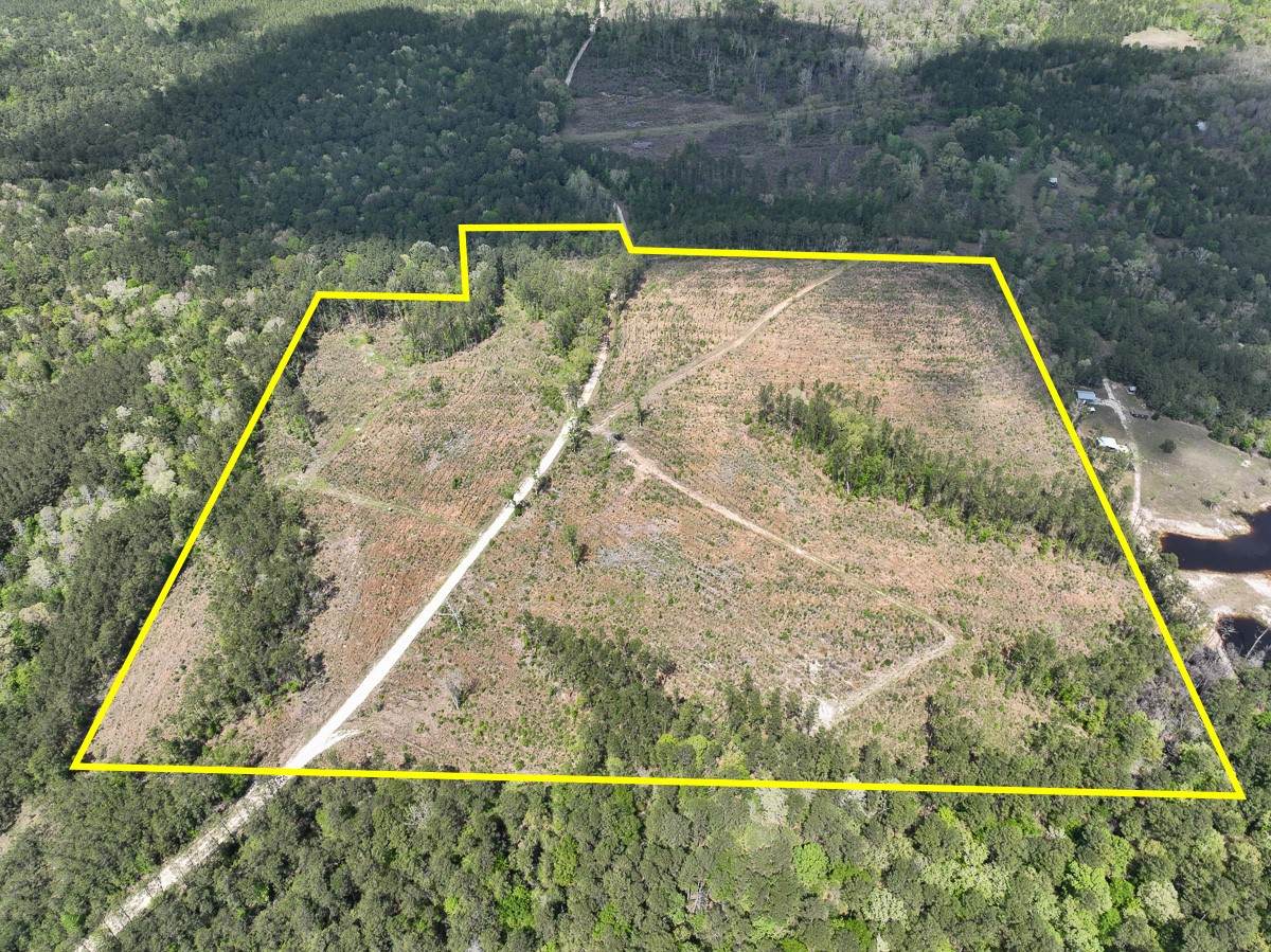 000 County Road 2834 - Photo 1