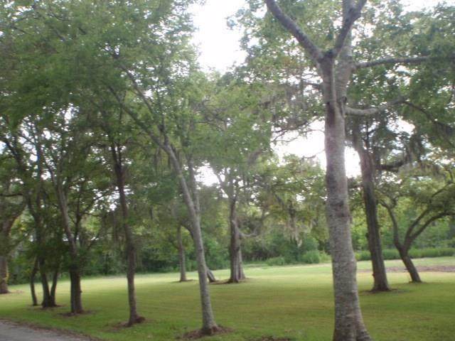 28A Cr 297 - Photo 1