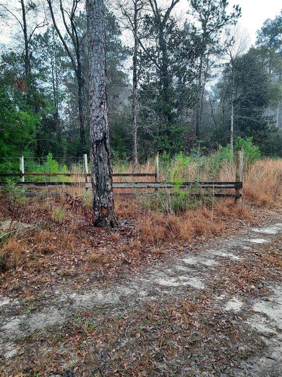 2600 County Road 4770 - Photo 1