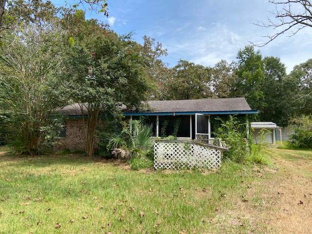 14087 Cecala Drive - Photo 1