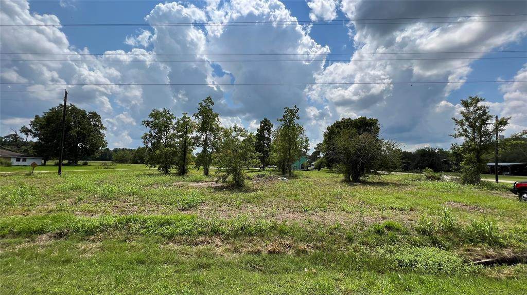 160 County Road 174 - Photo 1