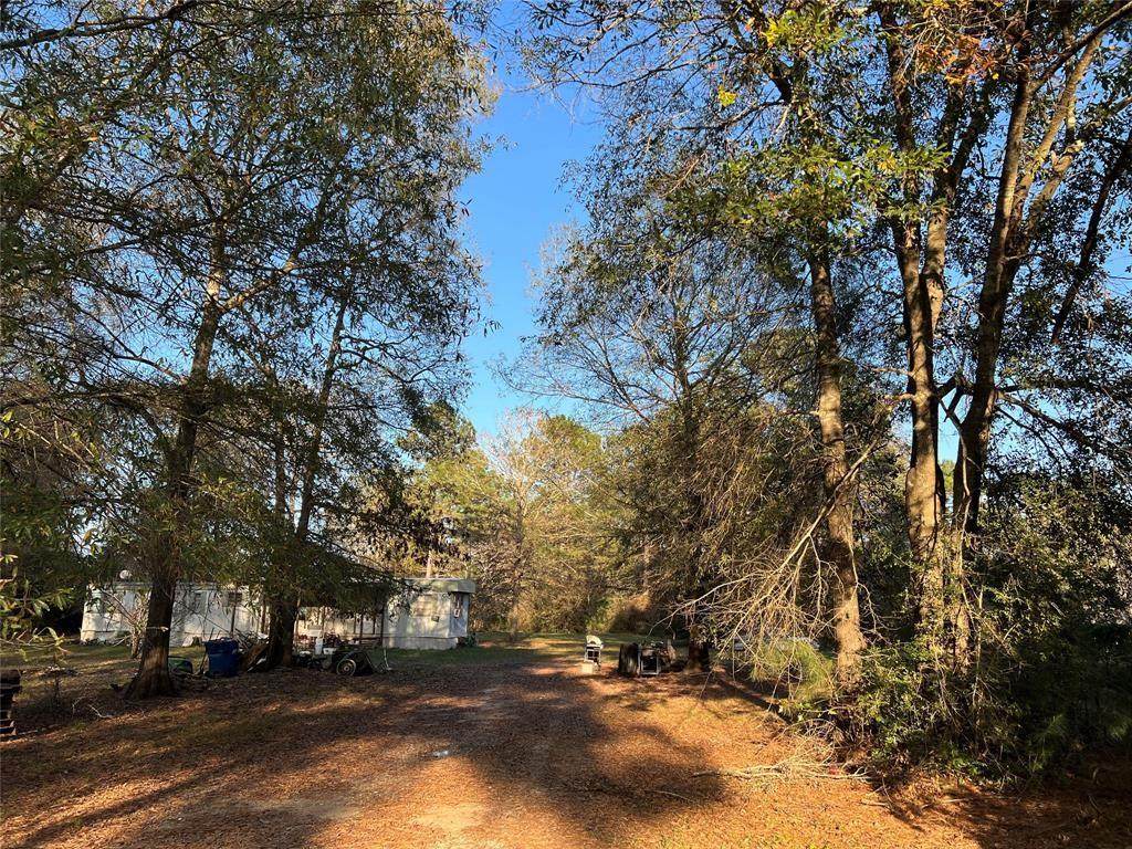 11781 Amber Park Drive - Photo 1