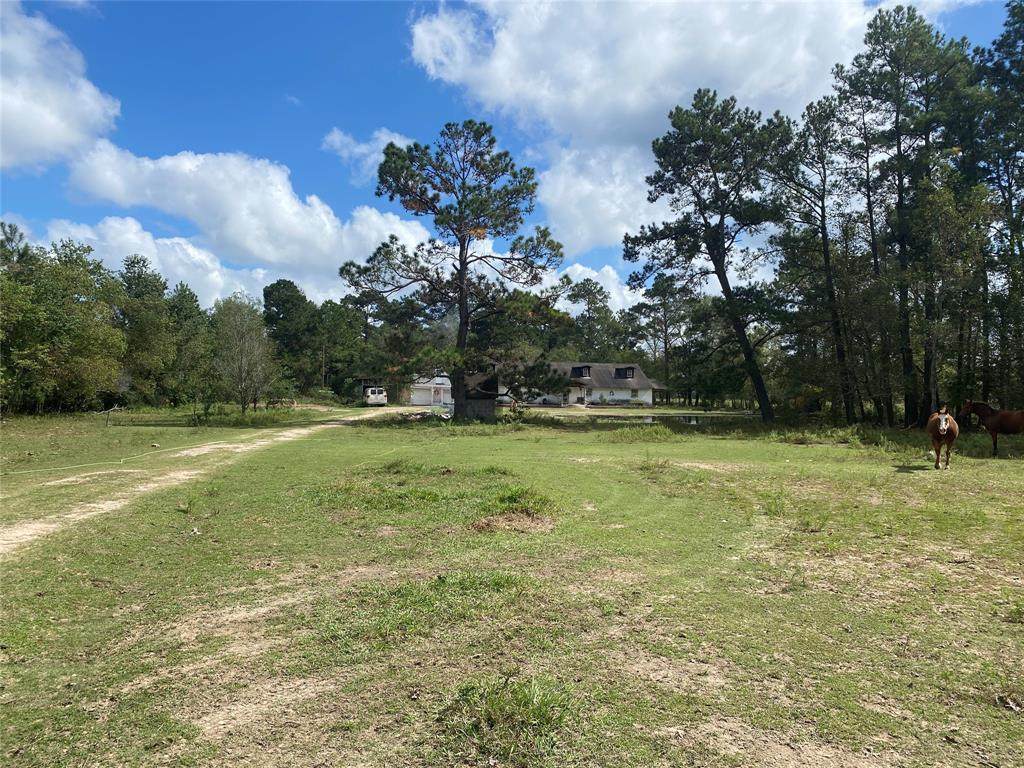 15682 Highway 321 - Photo 1