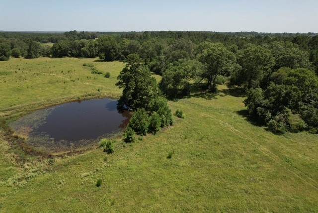 882 Jones Road - Photo 1