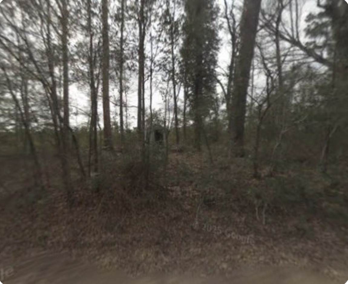 346 Slumberlane Drive - Photo 1