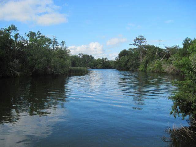 0 County Road 778 - Photo 1
