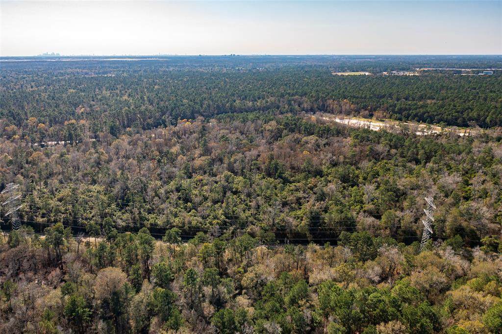27346 Shady Hills Landing Lane - Photo 1