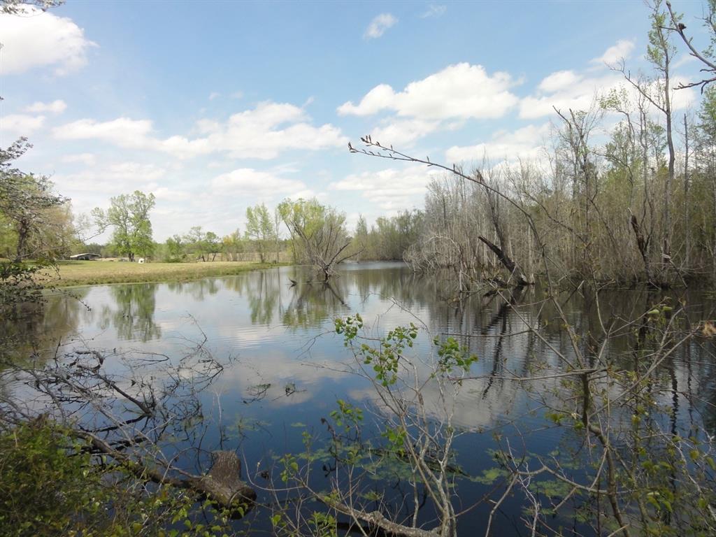 3233 Us Highway 287 - Photo 1