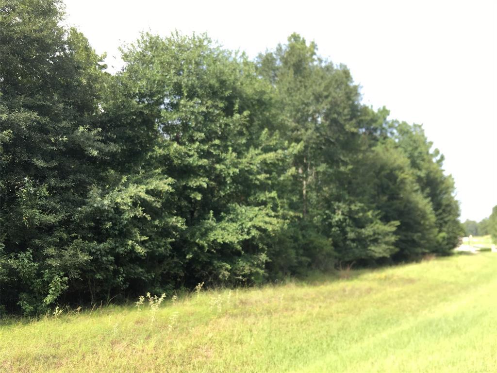 394 Skipper Lane - Photo 1