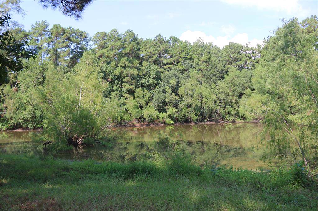 23405 Martha Williams Road - Photo 1