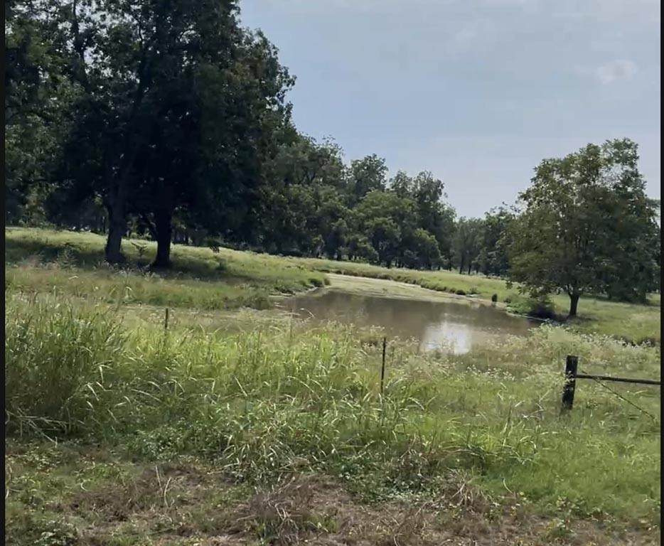 Tract #4 Fm 2548 - Photo 1