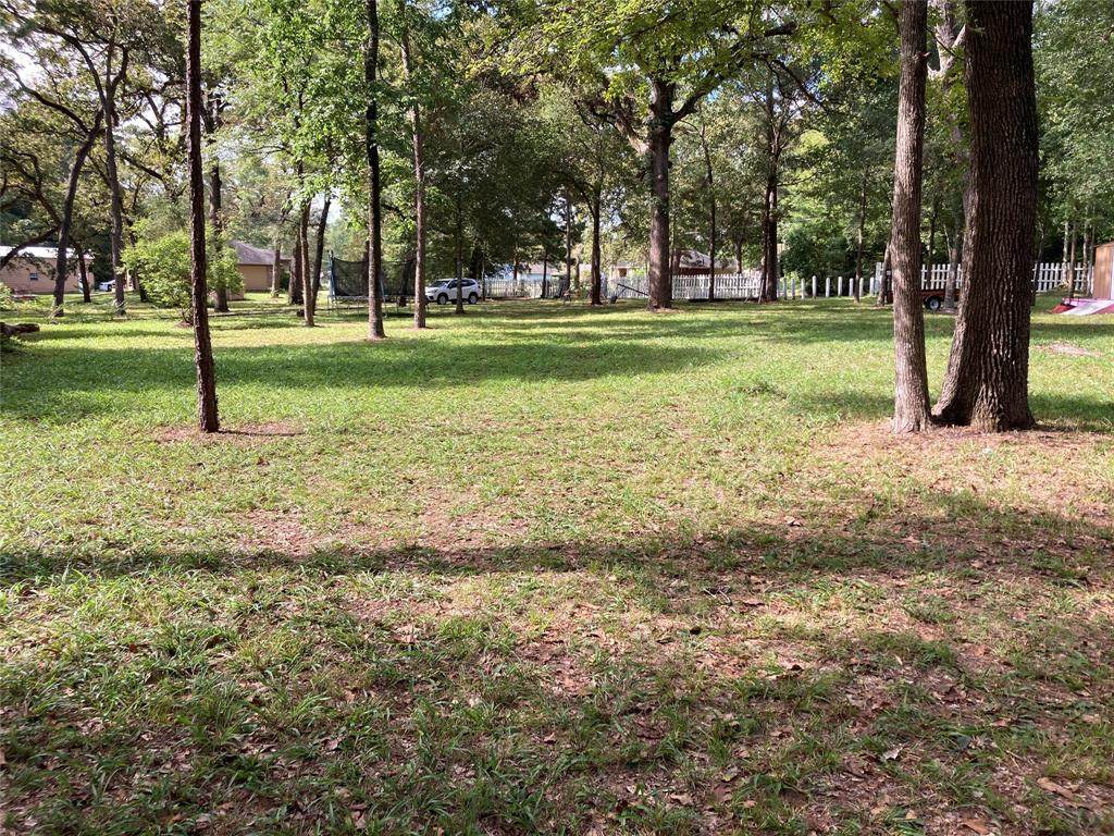 0 W Lakeshore Drive - Photo 1